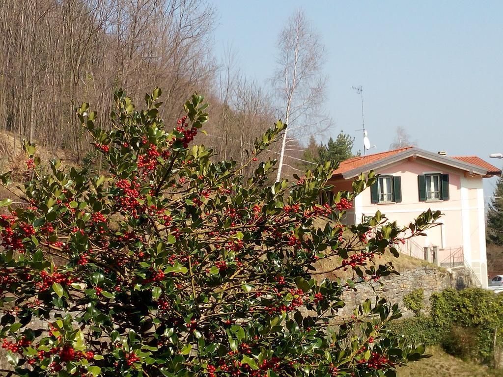 La Villa MorandiMarzio エクステリア 写真